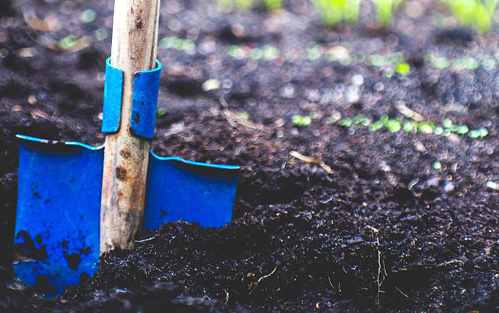 A blue shovel in a garden bed