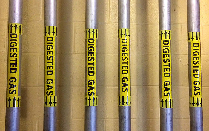 Pipes of digested bio gas