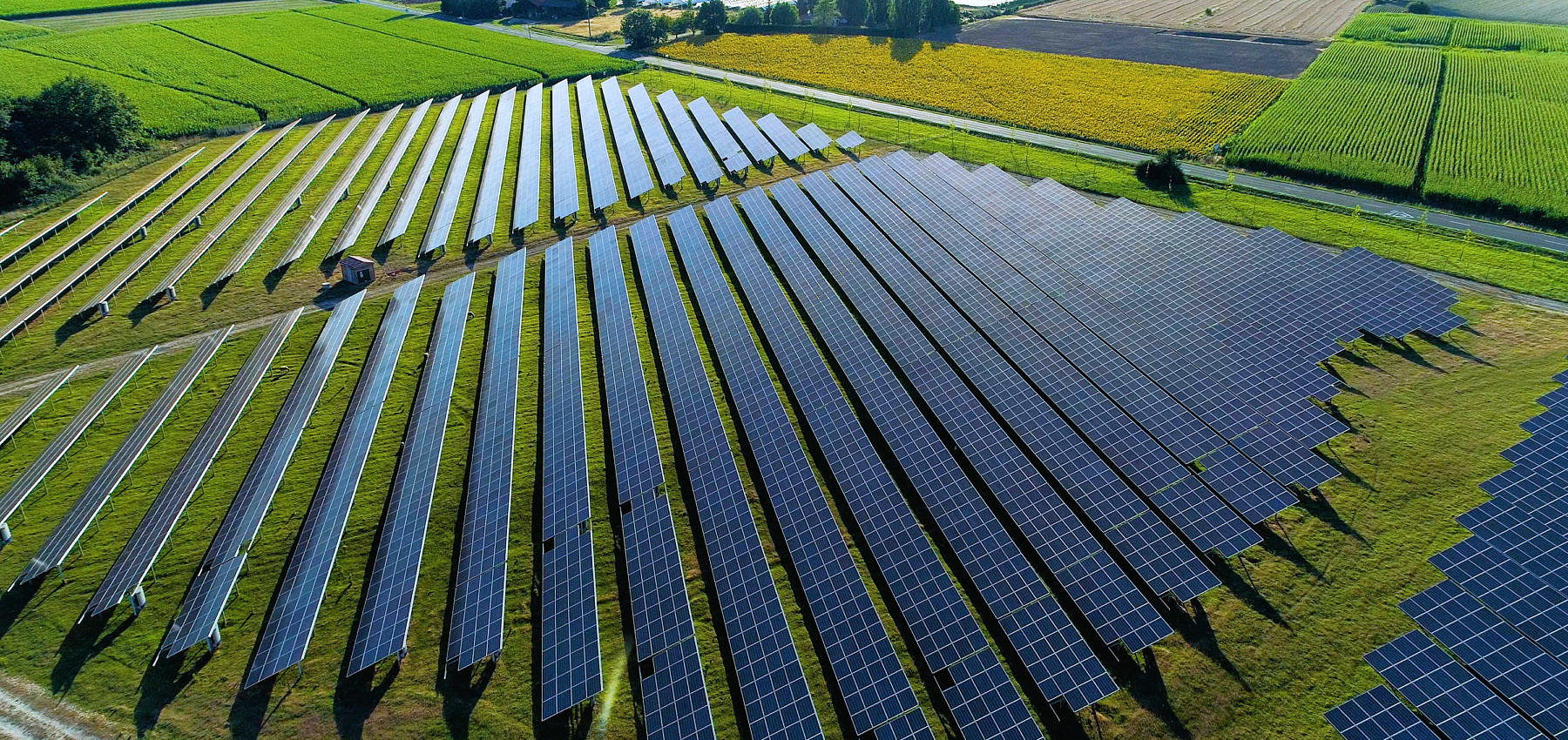 Solar panels among fields of crops